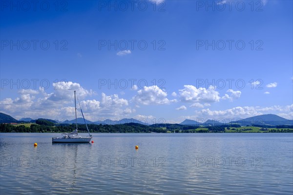 Wallersee-Zell am Wallersee