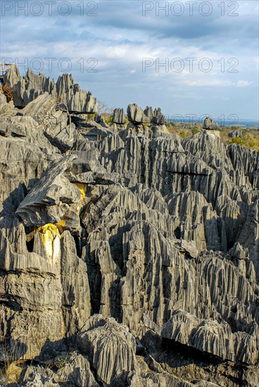 Unesco world heritage sight Tsingy de Bemaraha Strict Nature Reserve