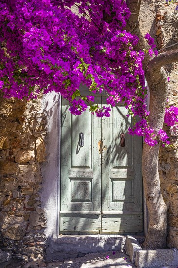 Old weathered house entrance door