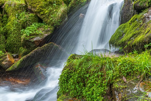 Fresh and beautiful waterfalls in a mountain stream in spring. La Serva