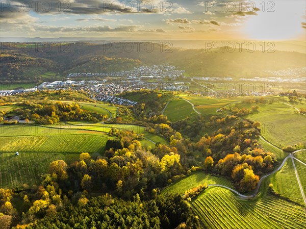 Drone view of forest and rural landscape in autumn