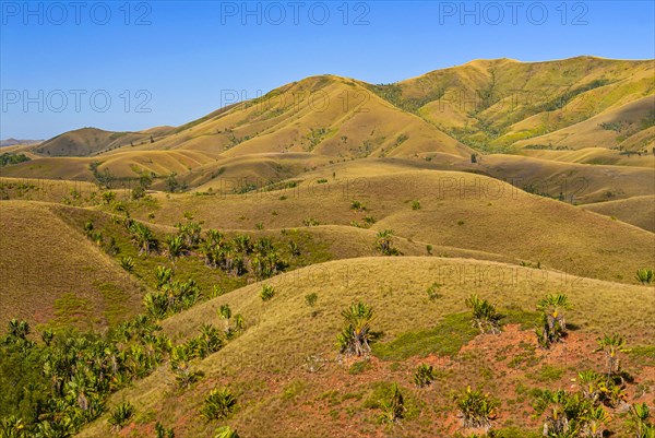 Eroding savanah hills on the east coast near Manakara on the east coast of Madagascar