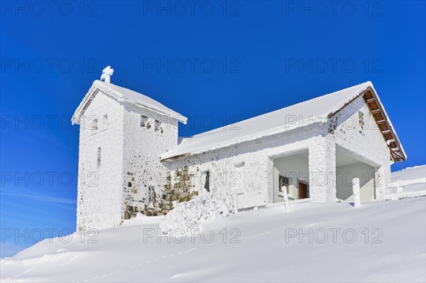 Winter Landscape