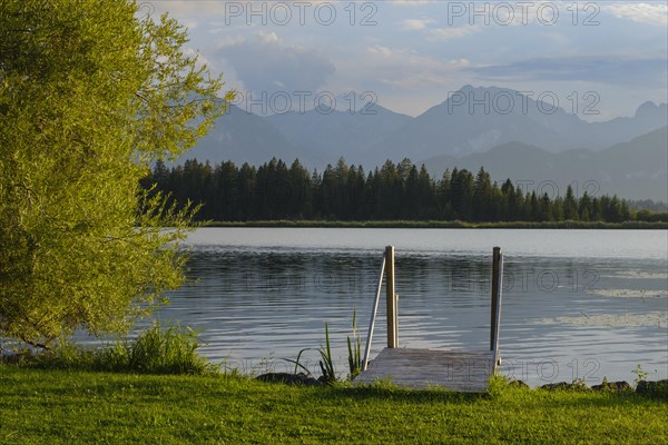 Bathing jetty at the Hopfensee