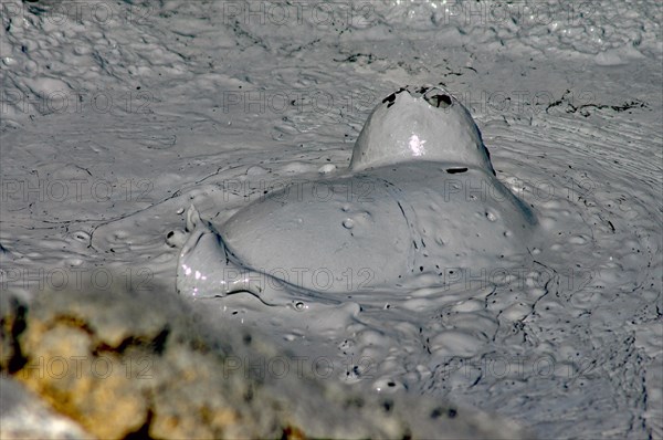 Smacking and bubbling mud springs