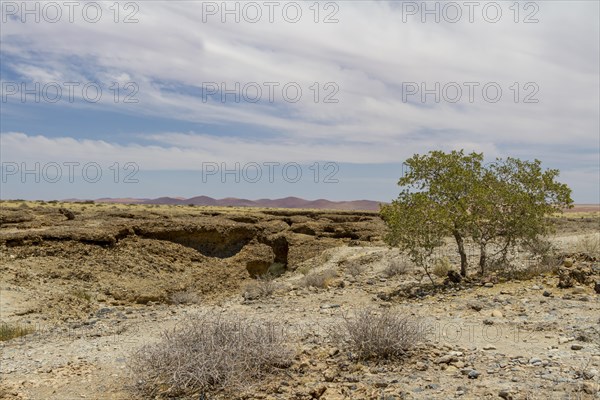 Landscape at Sesriem Canyon