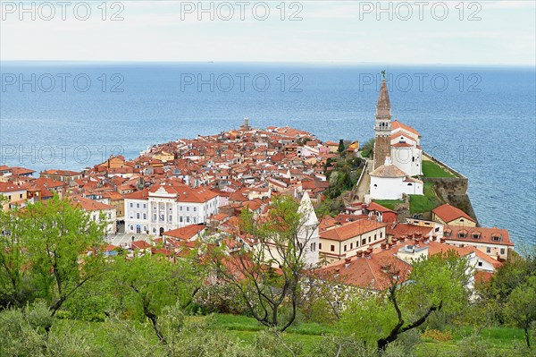 View over the roofs of the town with the church of Sv. Jurij