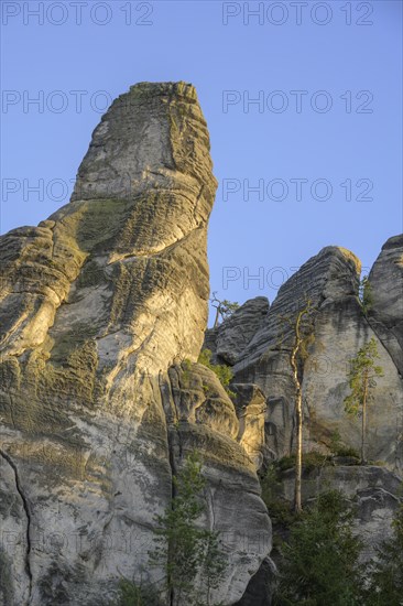 Prachovske rocks in the evening light