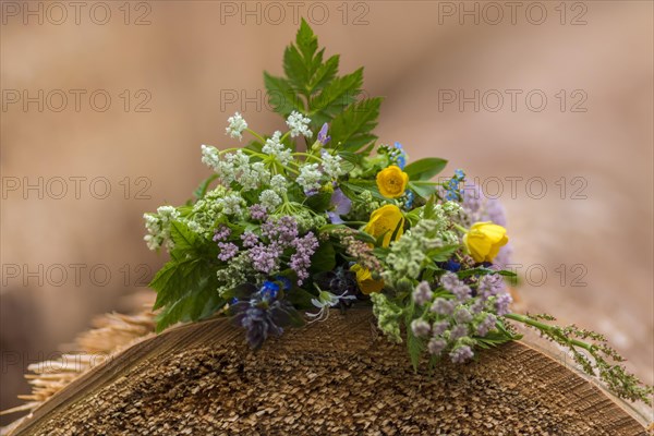 A bouquet of flowers from a meadow lies on a sawn-off tree trunk