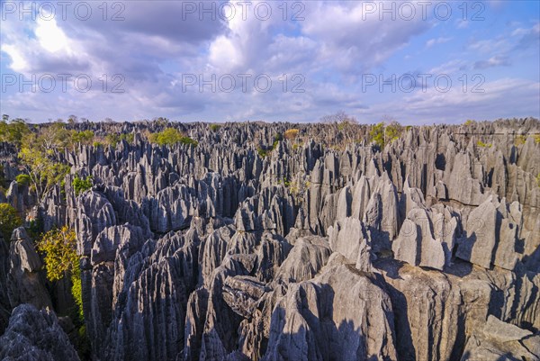 Overlook over the Tsingys