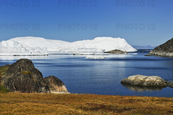 Gigantic icebergs in the ice fjord