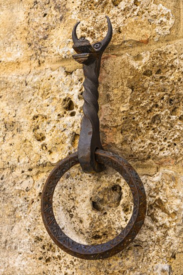 Wrought iron ring with horse head for tethering horses