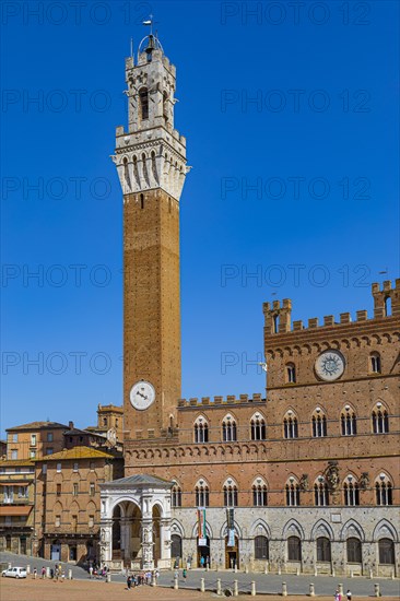 The Tower and Palazzo Pubblico