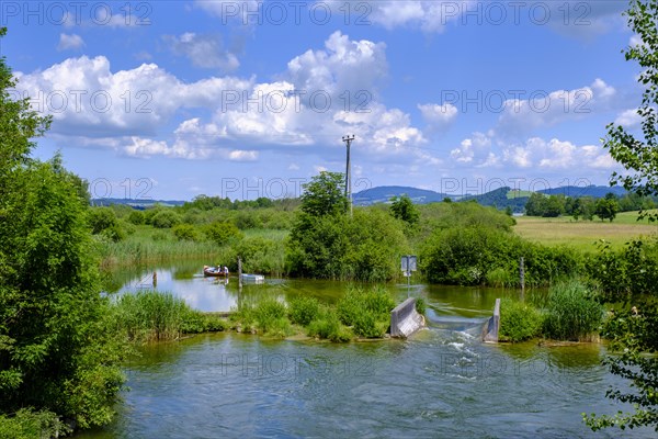 Katzbach am Wallersee