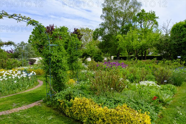 Court Garden