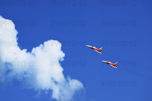 Formation flight of the Patrouille Suisse with the Northrop F-5E Tiger II