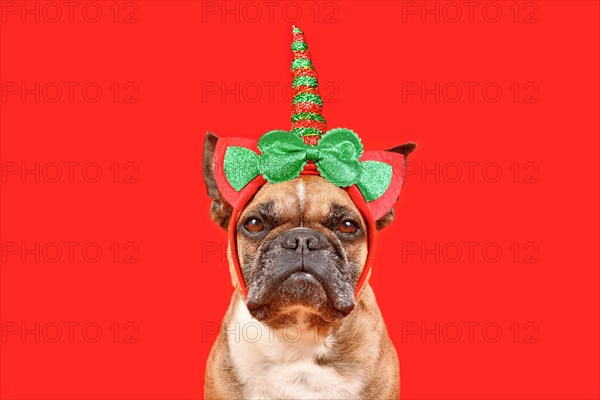 French Bulldog dog with Christmas unicorn headband in front of red background