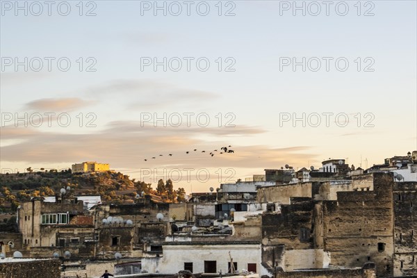 Old historic town of Fez with flock of birds flying toward sunset