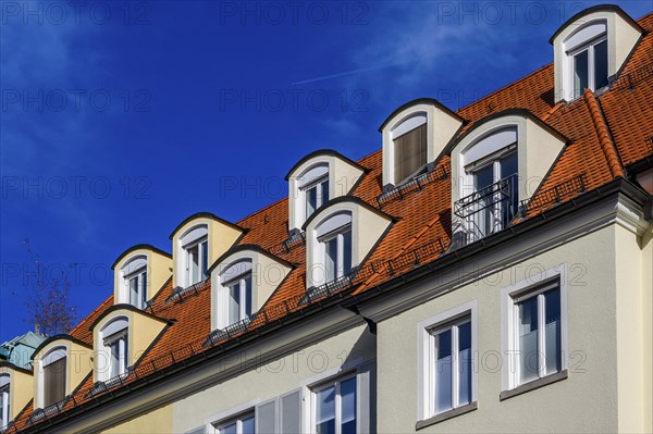 House roof with dormers