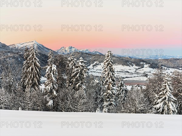 Snow-covered forest with view of Lake Aegeri behind Rigi and Pilatus