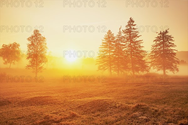 Sunrise High Moor Eigenried Zugerberg