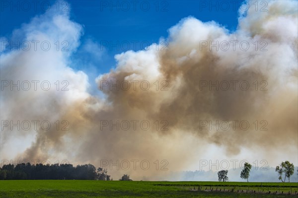 Moorland band in the Goldenstedt Moor