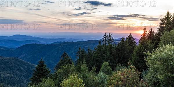 View from Schliffkopf over forest and mountains at sunset