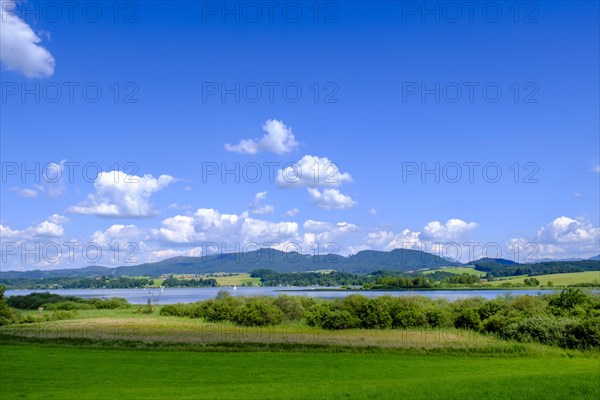 Wallersee-Zell am Wallersee