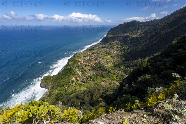 Ridge of Pico do Alto