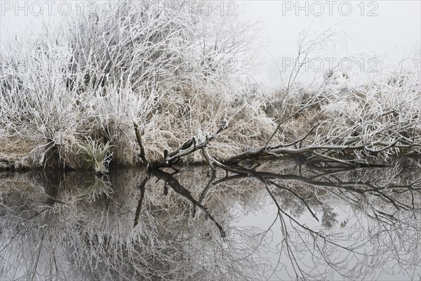 Floodplain landscape in hoar frost