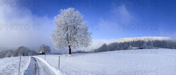 Snow and hoarfrost