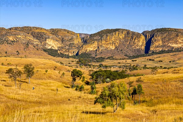 Savannah in the Isalo National Park