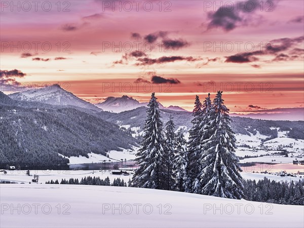 Snow-covered forest with view of Lake Aegeri behind Rigi and Pilatus
