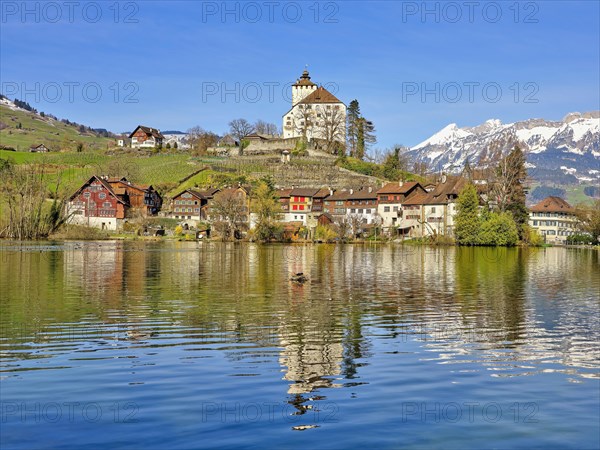 Werdenberg Castle with Old Town on Lake Werdenberg