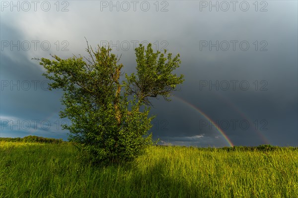 Appearance of a double rainbow in front of a late afternoon storm. Alsace