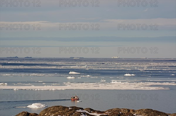 Boat in front of drift ice fields and icebergs