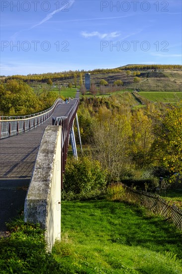 Dragon Bridge