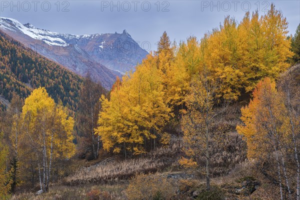 Autumn atmosphere