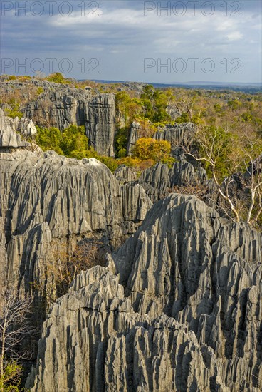 Unesco world heritage sight Tsingy de Bemaraha Strict Nature Reserve