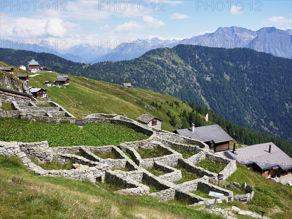 Enclosure made of dry stone walls for traditional alpine pasture management that was originally used for cattle grazing