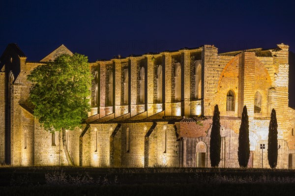 The ruins of the church of San Galgano Abbey