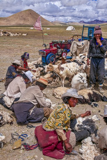 Tibetan shepards shaving sheeps along the road from Tsochen to Lhasa