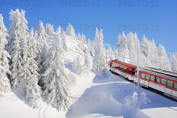 Cogwheel railway rides through snow-covered forest
