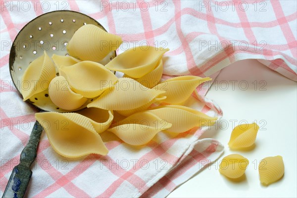 Conchiglione and small conchiglie with sieve ladle