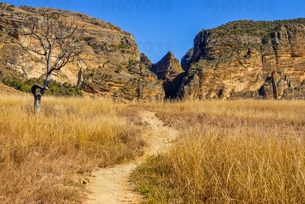 Path going through the Isalo National Park