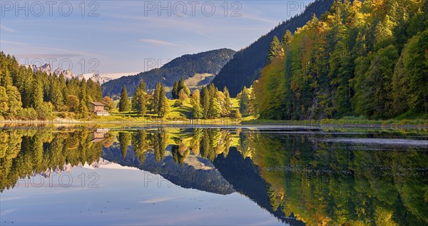 Autumnal coloured forest at the Obersee