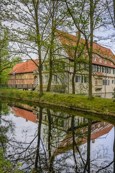 Burg Dinklage Monastery