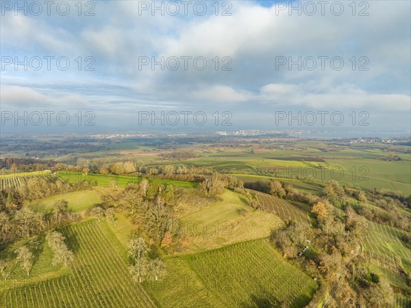 View over the Galgenberg near Bohlingen to western Lake Constance