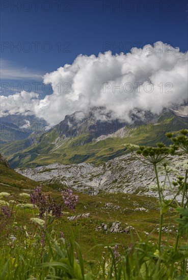 View across a mountain meadow to the Alps near Lech am Arlberg