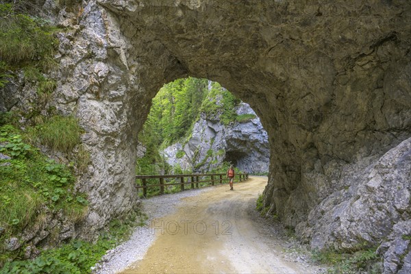 Woman walking through tunnel along Schrottner path